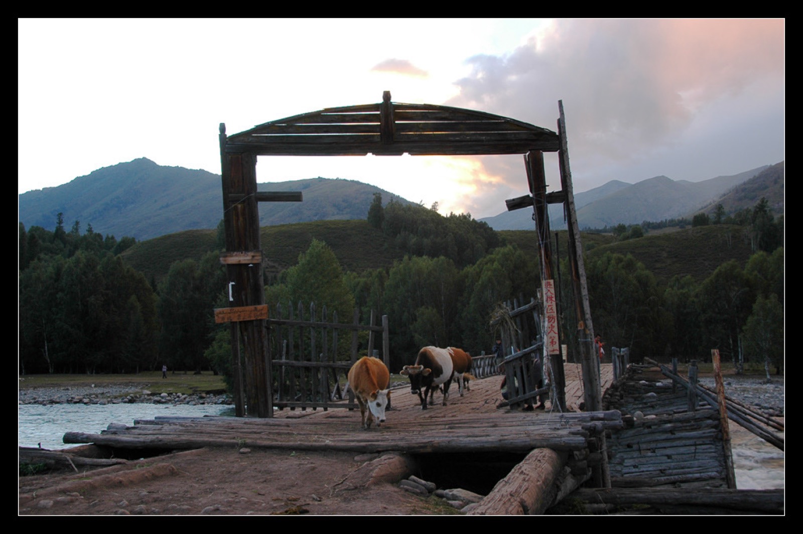 Cầu gỗ bắc qua sông Hemu
